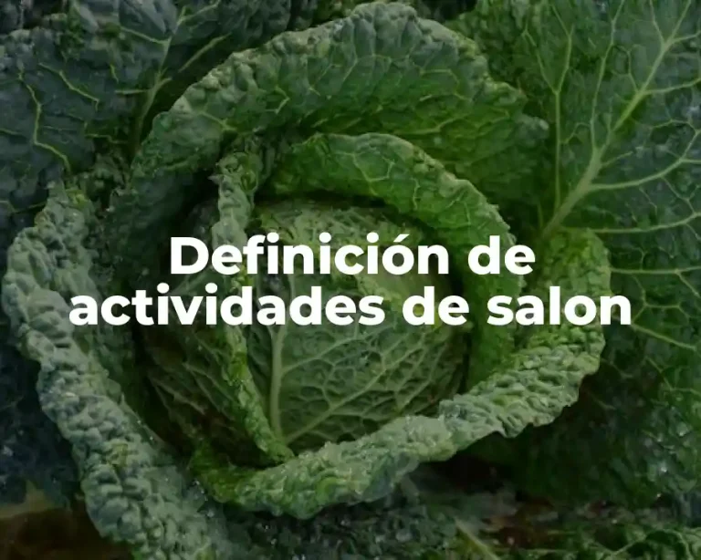 Definición de actividades de salon