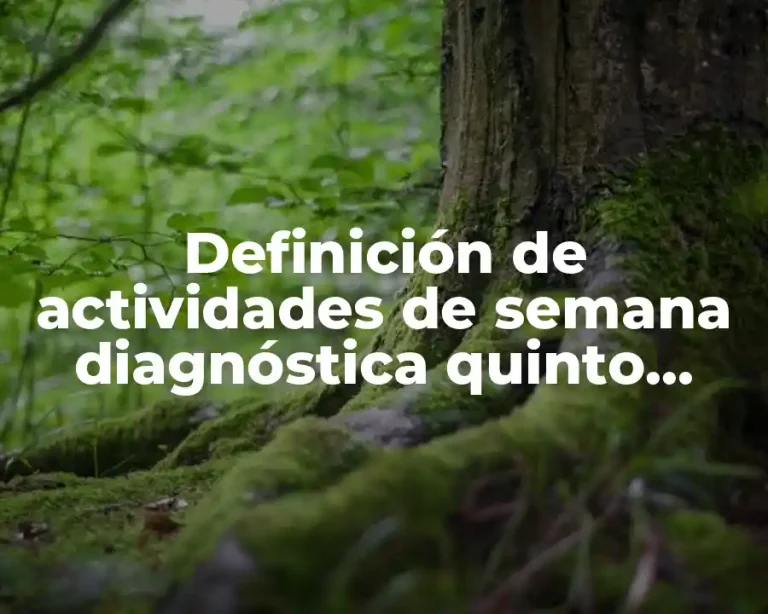 Definición de actividades de semana diagnóstica quinto grado