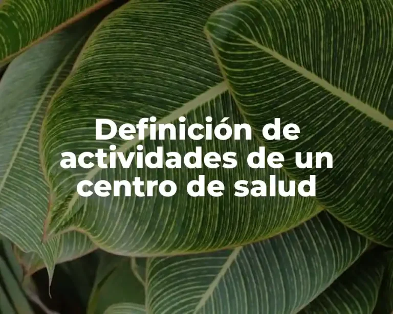 Definición de actividades de un centro de salud