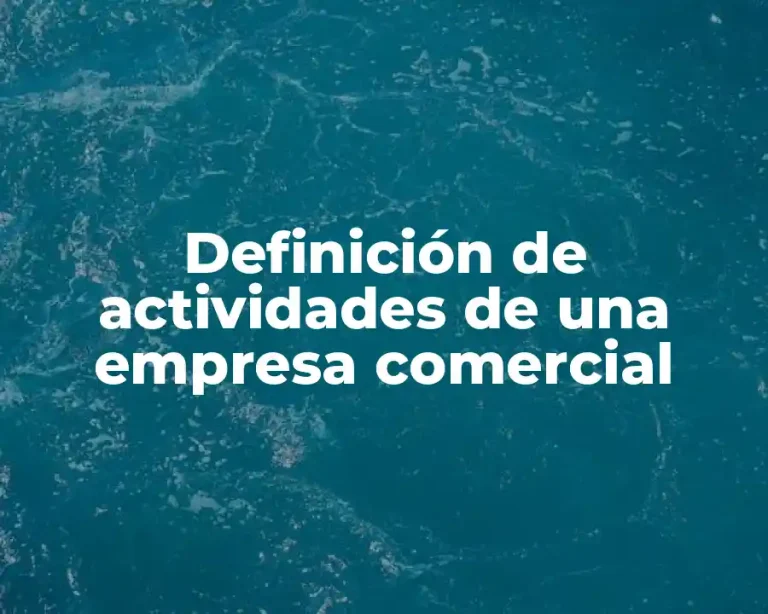 Definición de actividades de una empresa comercial