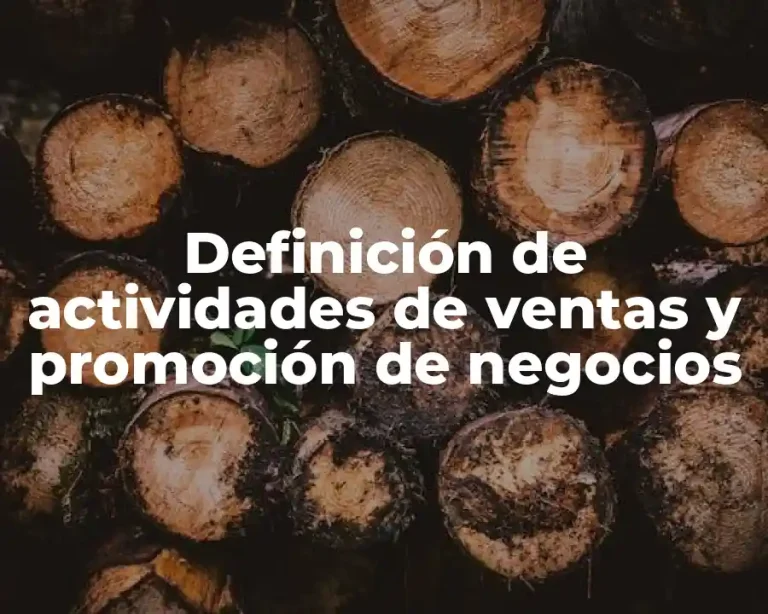 Definición de actividades de ventas y promoción de negocios