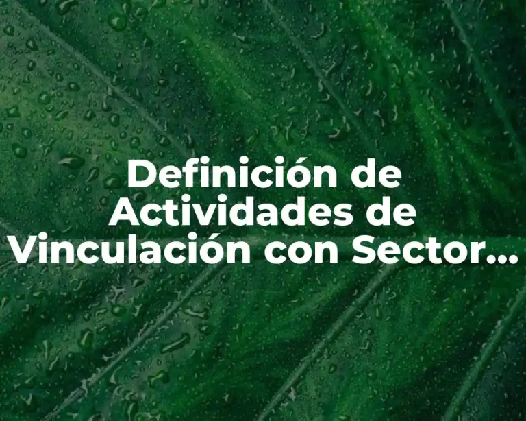 Definición de Actividades de Vinculación con Sector Social y Productivo