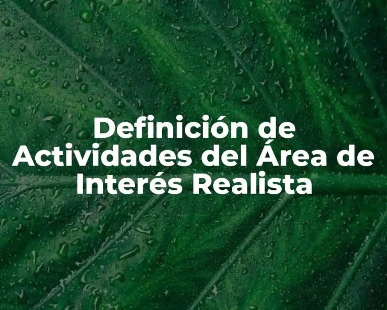 Definición de Actividades del Área de Interés Realista