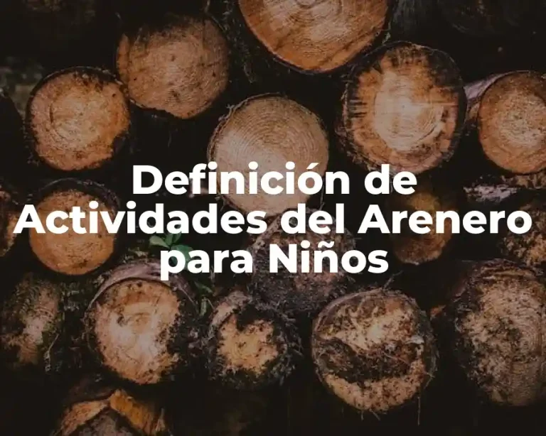 Definición de Actividades del Arenero para Niños