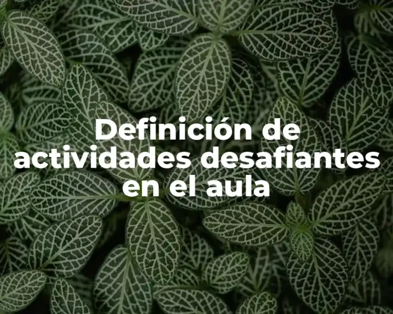 Definición de actividades desafiantes en el aula