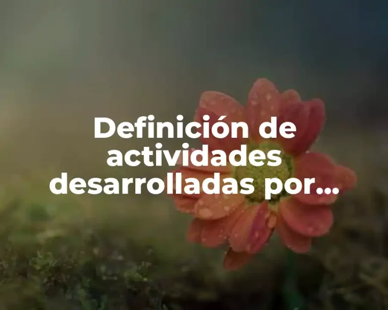 Definición de actividades desarrolladas por maestros relacionadas en el aula