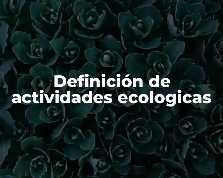 Definición de actividades ecologicas