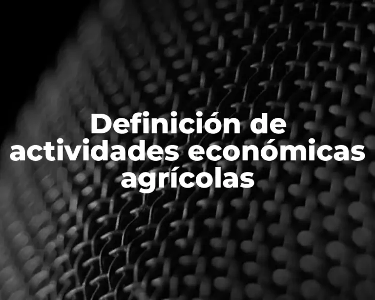 Definición de actividades económicas agrícolas
