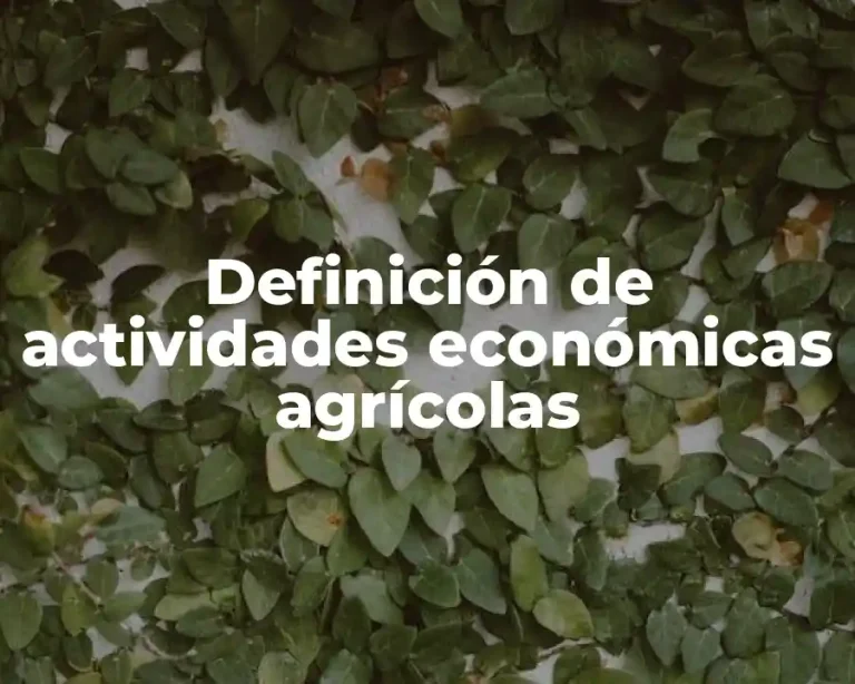 Definición de actividades económicas agrícolas