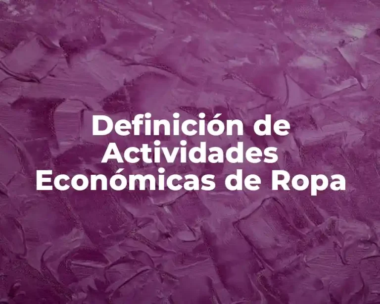 Definición de Actividades Económicas de Ropa
