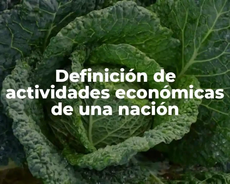 Definición de actividades económicas de una nación