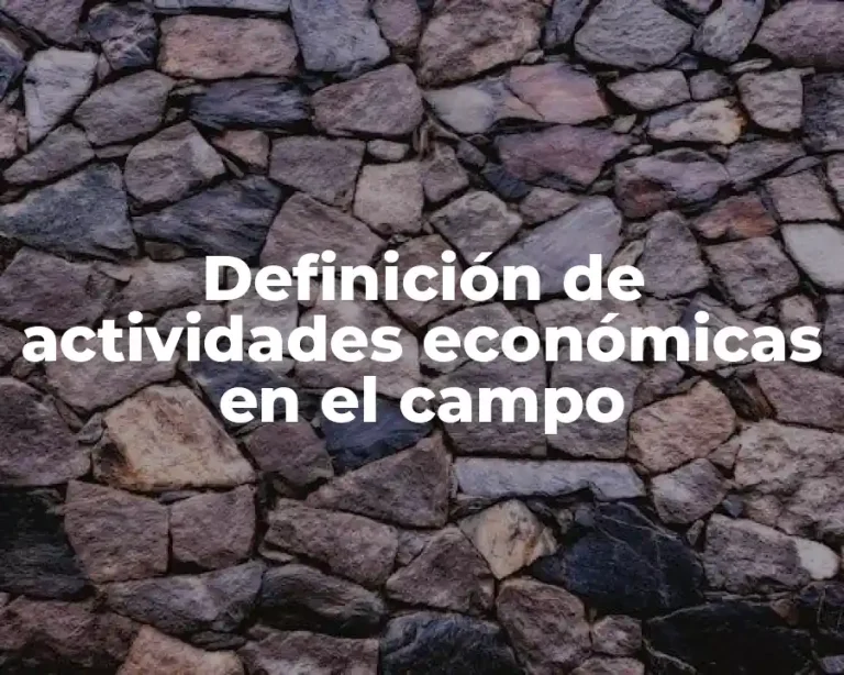 Definición de actividades económicas en el campo