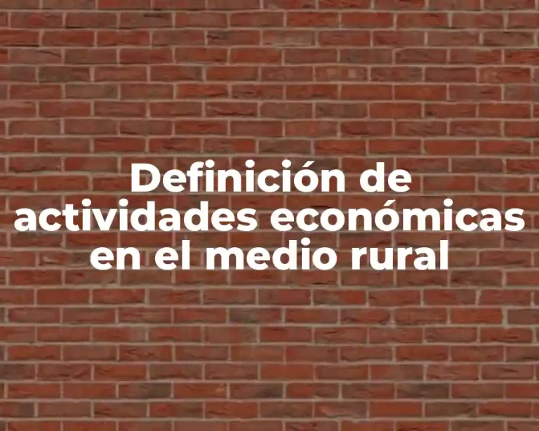 Definición de actividades económicas en el medio rural