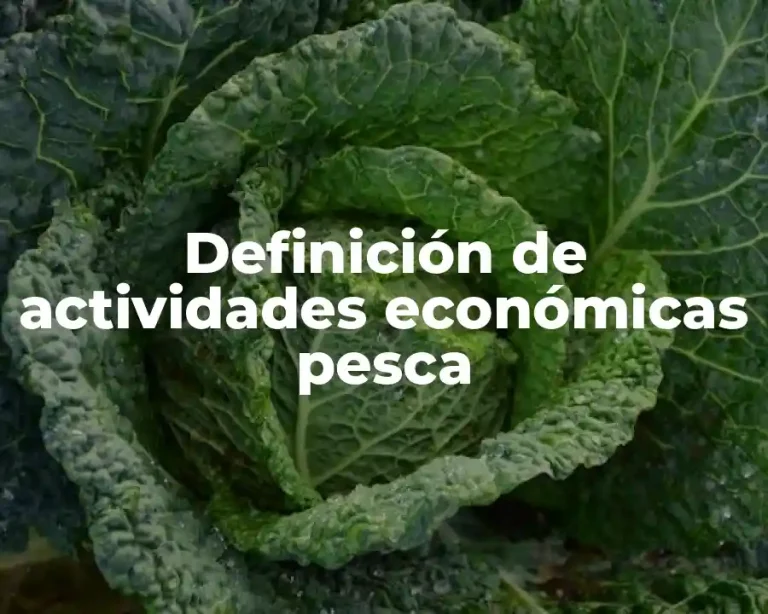 Definición de actividades económicas pesca