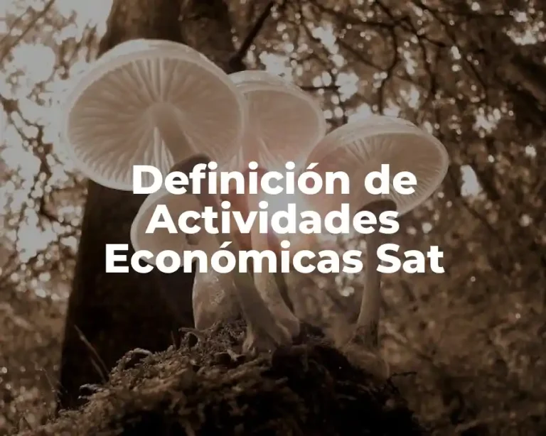 Definición de Actividades Económicas Sat
