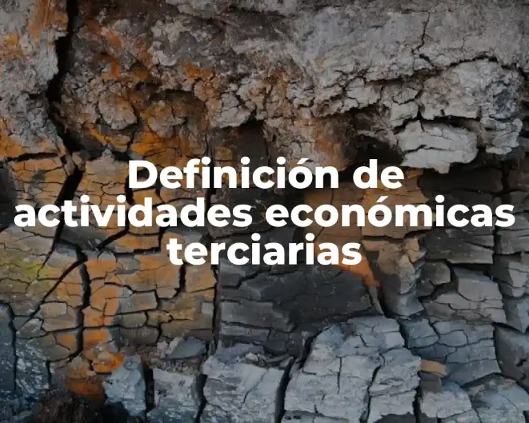 Definición de actividades económicas terciarias