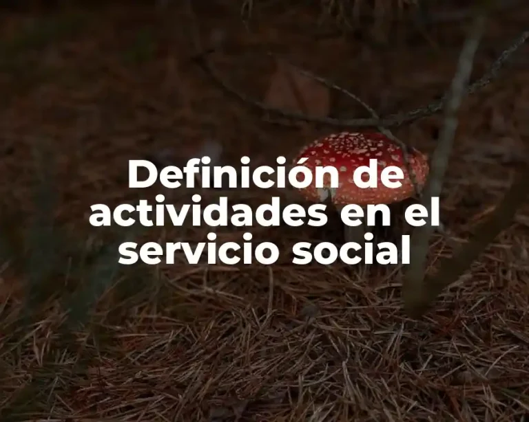 Definición de actividades en el servicio social
