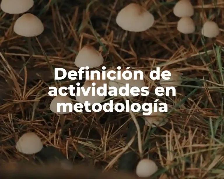 Definición de actividades en metodología