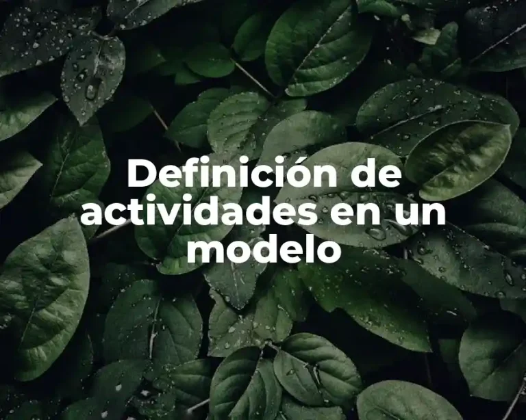 Definición de actividades en un modelo