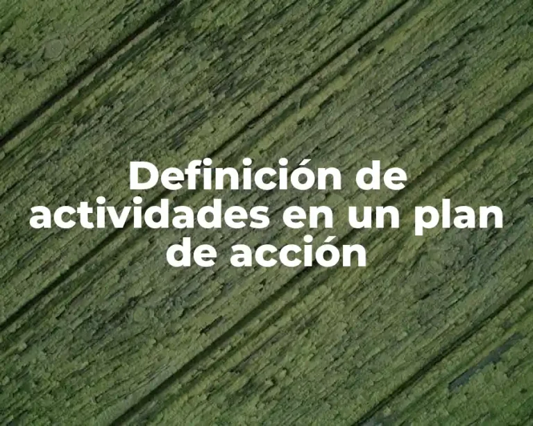 Definición de actividades en un plan de acción