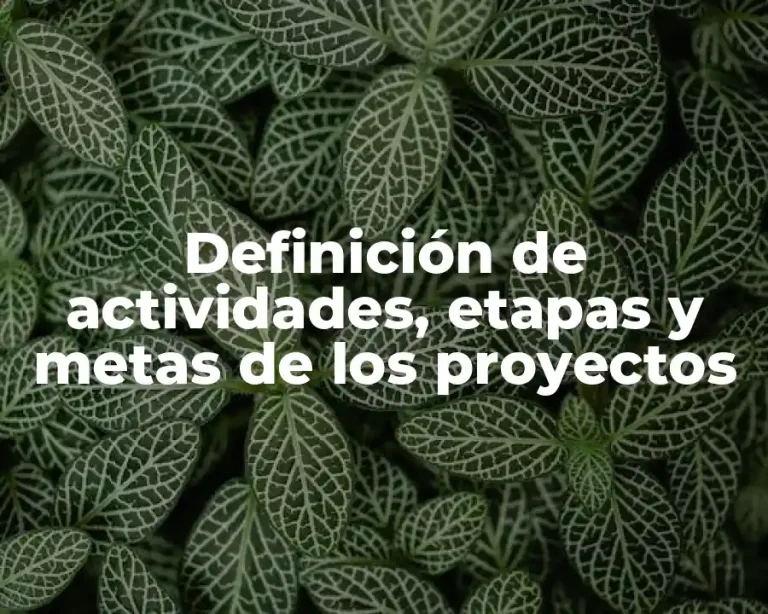 Definición de actividades, etapas y metas de los proyectos