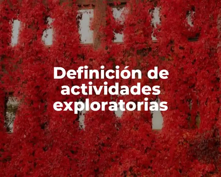 Definición de actividades exploratorias
