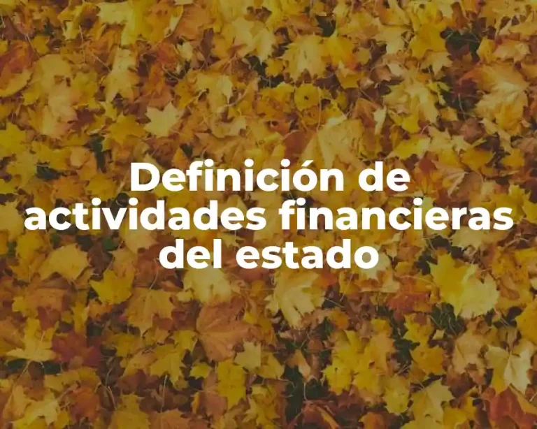 Definición de actividades financieras del estado