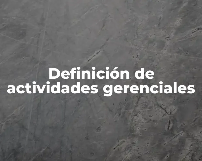 Definición de actividades gerenciales