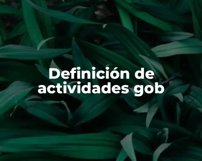 Definición de actividades gob