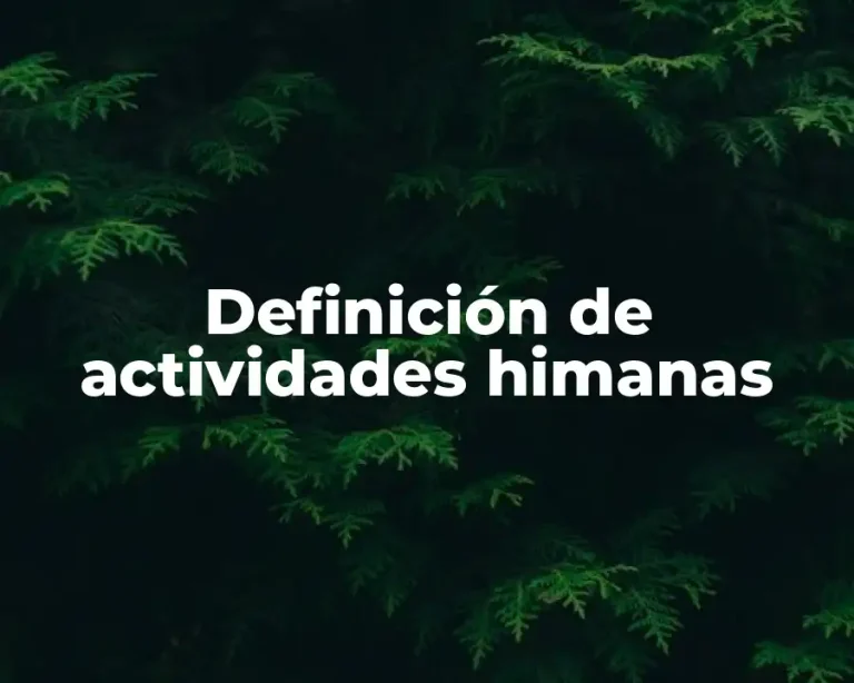 Definición de actividades himanas