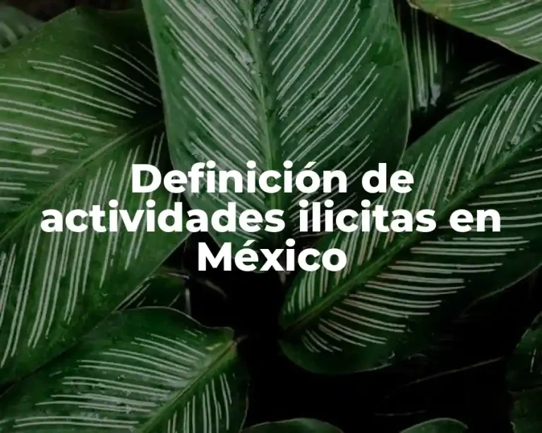 Definición de actividades ilicitas en México