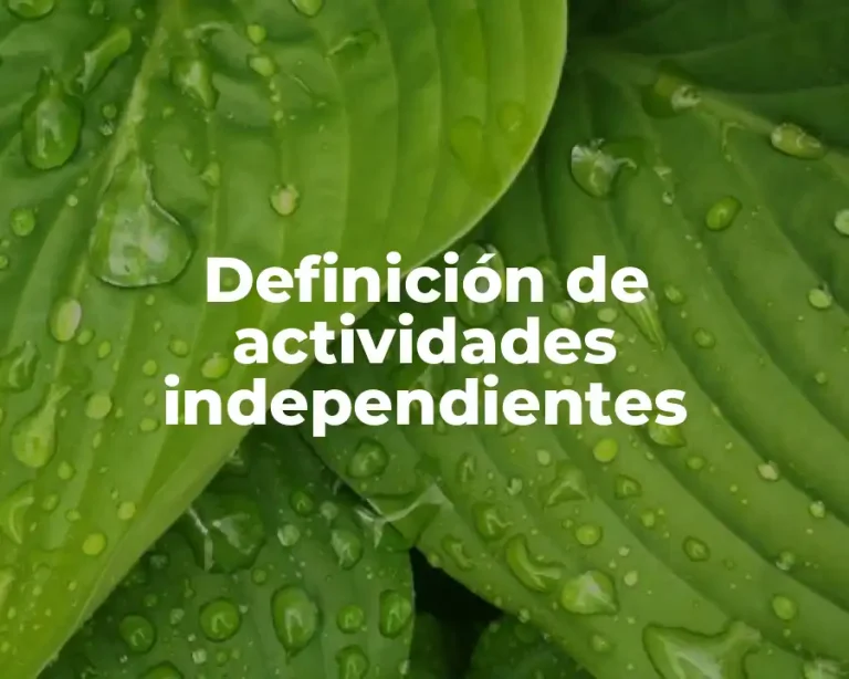 Definición de actividades independientes