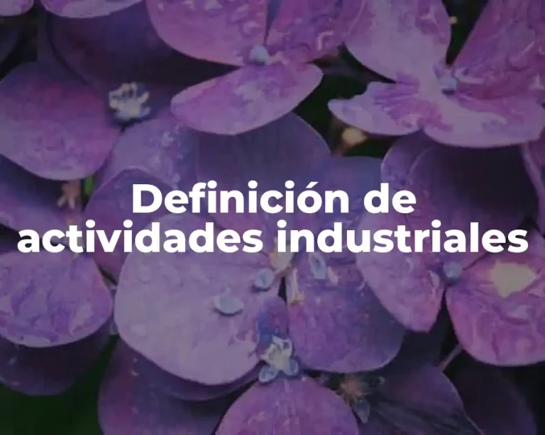 Definición de actividades industriales