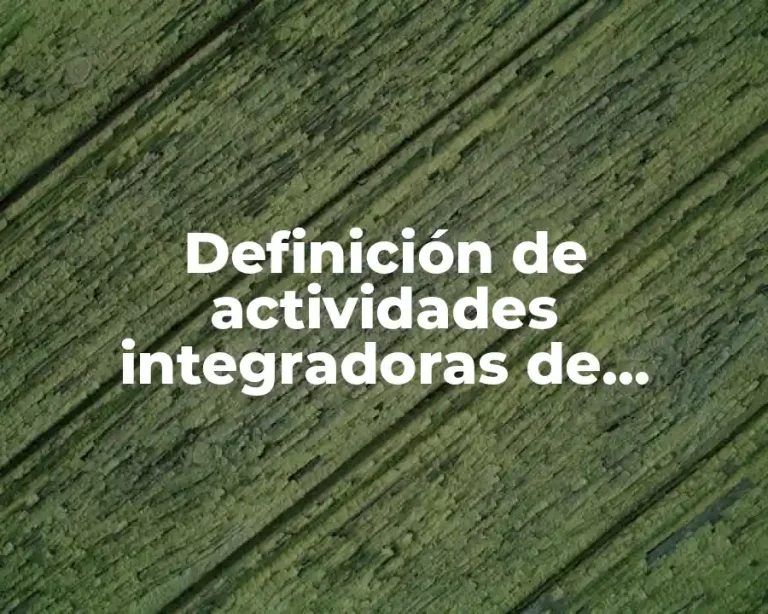 Definición de actividades integradoras de matemática