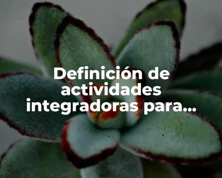 Definición de actividades integradoras para tercer grado