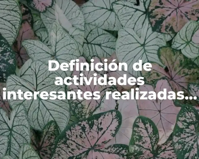 Definición de actividades interesantes realizadas con arreglos