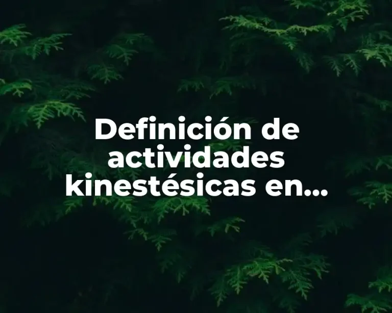 Definición de actividades kinestésicas en educación