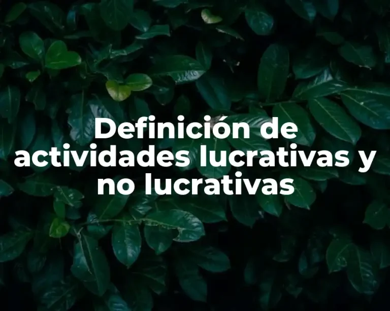 Definición de actividades lucrativas y no lucrativas