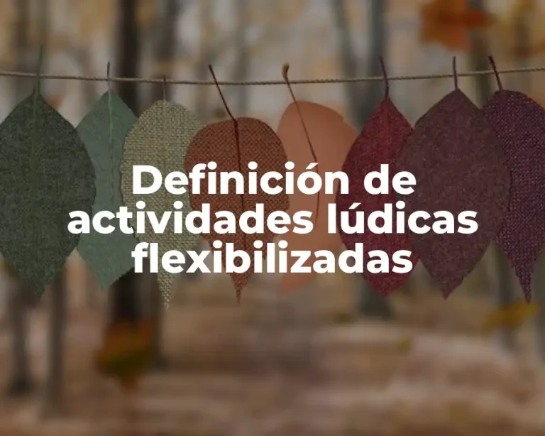 Definición de actividades lúdicas flexibilizadas