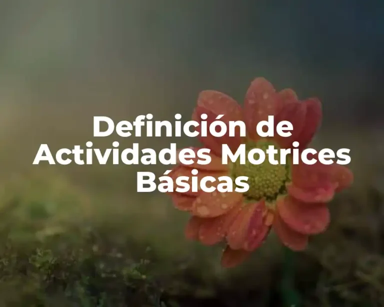Definición de Actividades Motrices Básicas