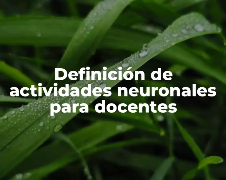 Definición de actividades neuronales para docentes