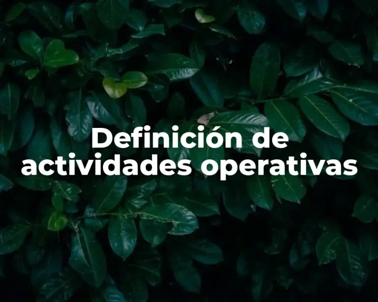Definición de actividades operativas