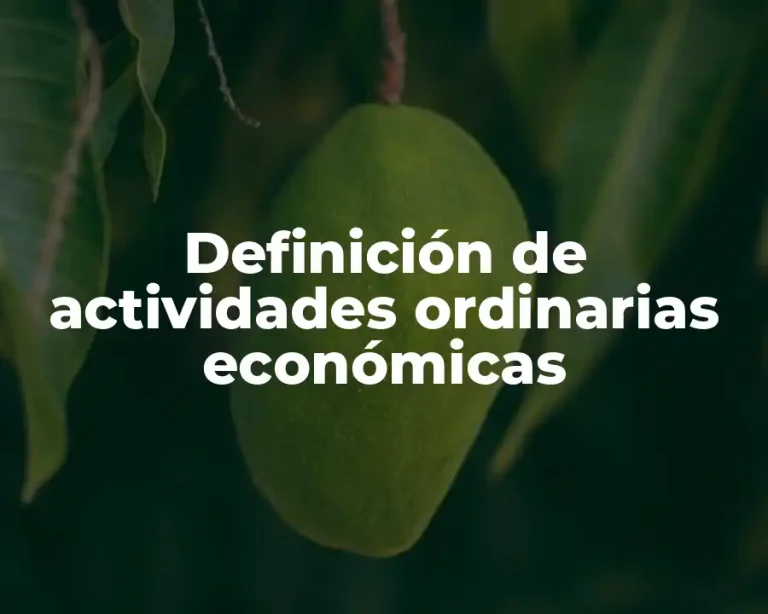 Definición de actividades ordinarias económicas