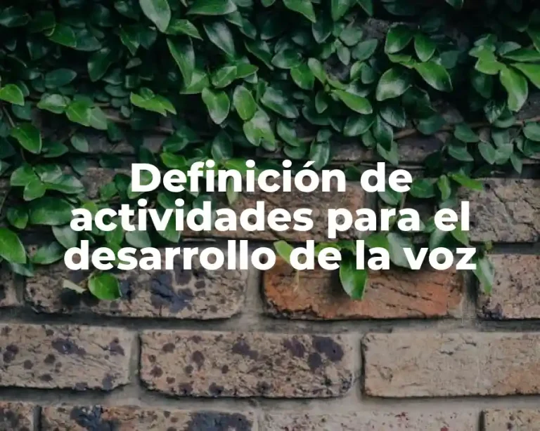 Definición de actividades para el desarrollo de la voz