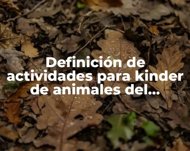 Definición de actividades para kinder de animales del zoologico