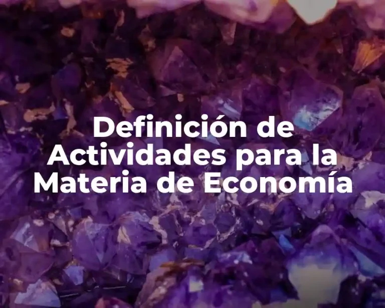 Definición de Actividades para la Materia de Economía