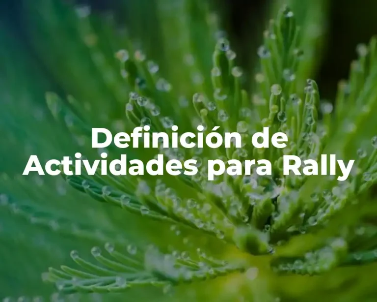 Definición de Actividades para Rally