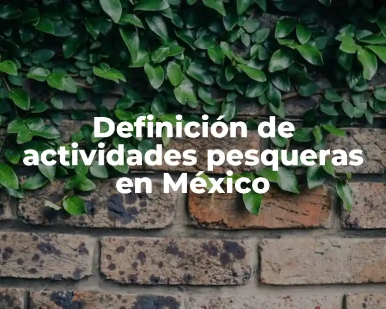 Definición de actividades pesqueras en México