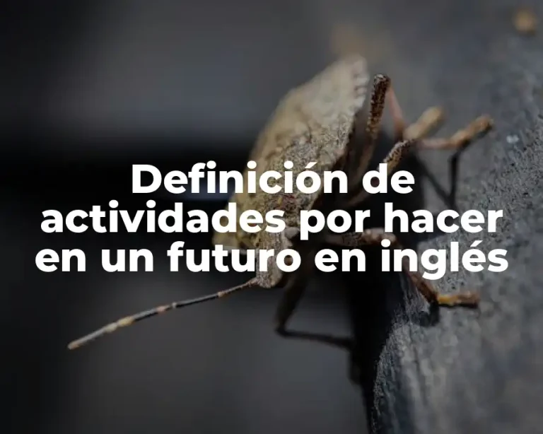 Definición de actividades por hacer en un futuro en inglés