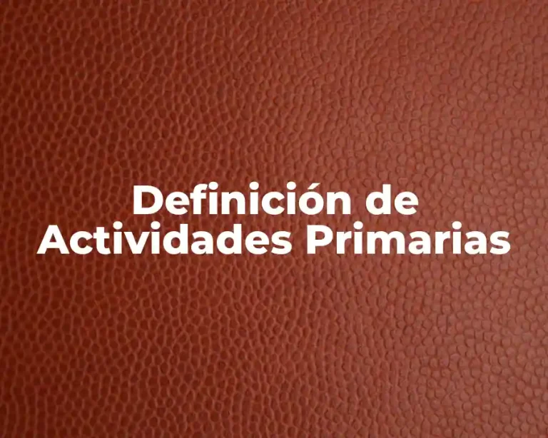 Definición de Actividades Primarias
